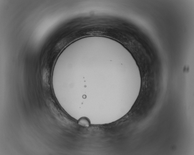 X0000110700146200906261416