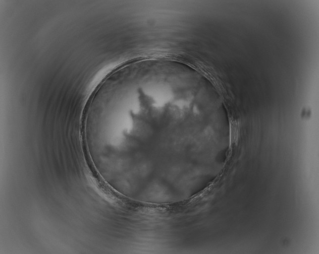 X0000110700147200906261416