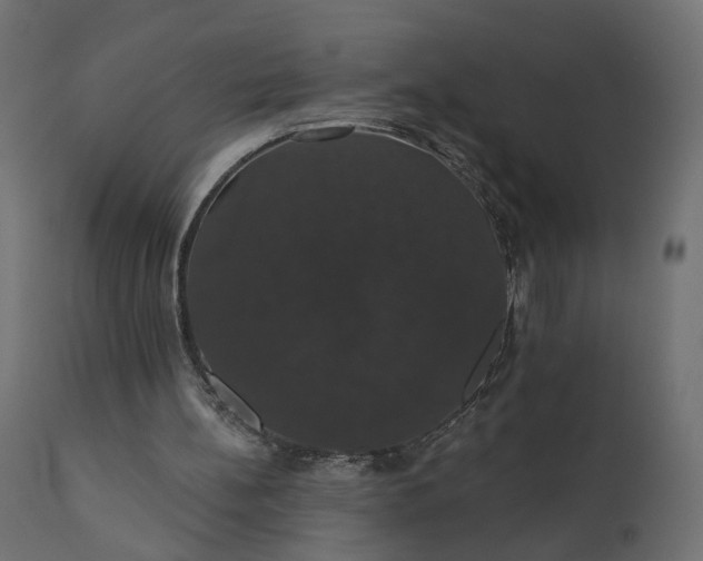 X0000110700148200906261416