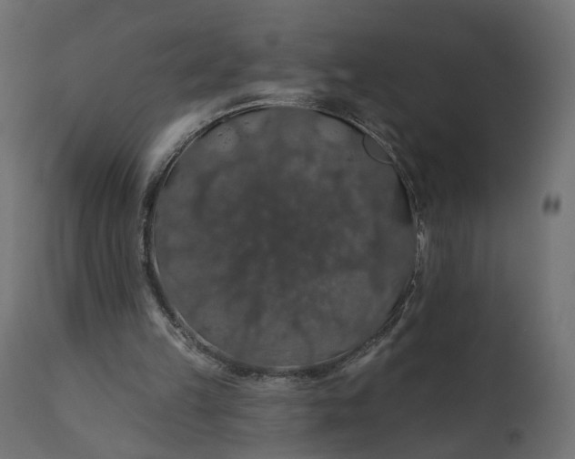 X0000110700149200906261416