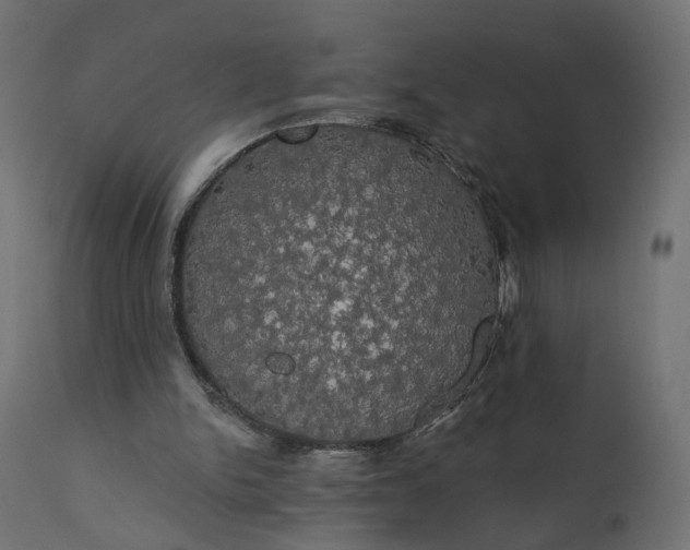 X0000110700150200906261416