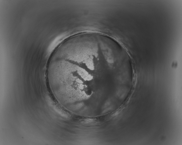 X0000110700151200906261416