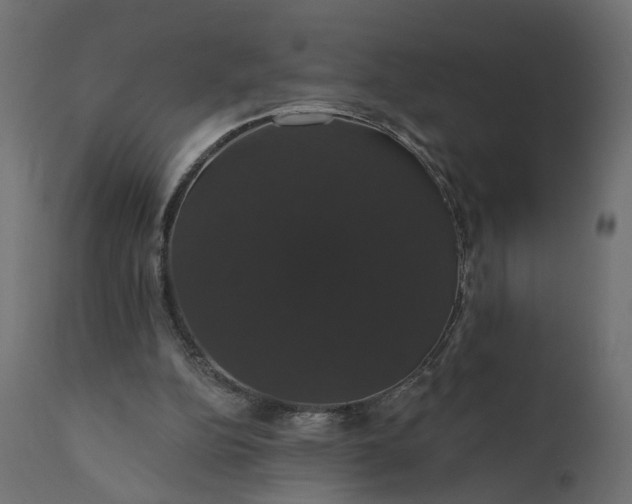 X0000110700152200906261416