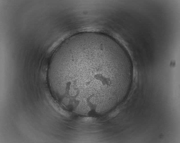 X0000110700153200906261416