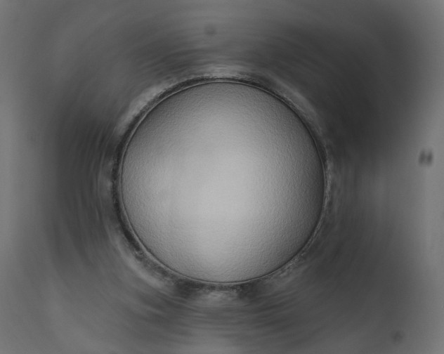 X0000110700155200906261416