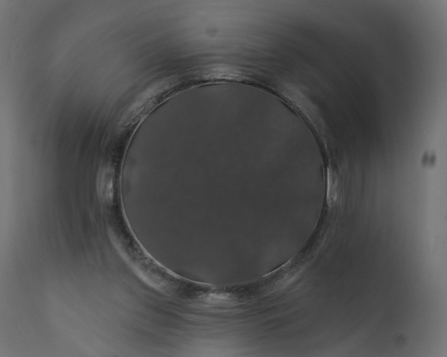 X0000110700157200906261416