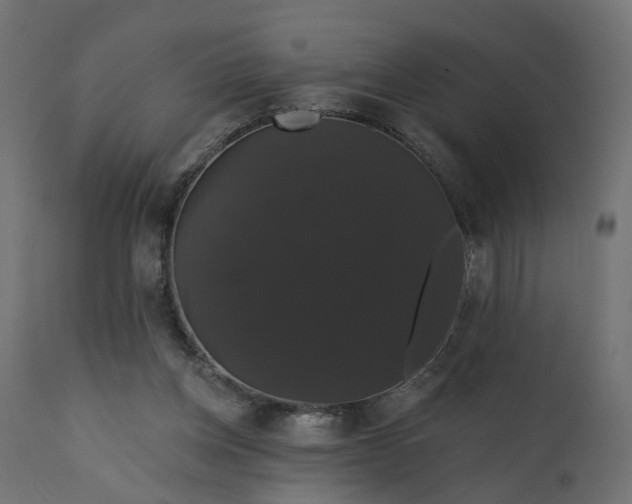 X0000110700158200906261416