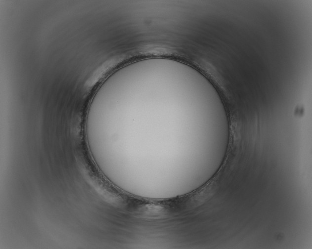 X0000110700159200906261416