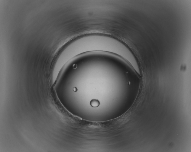 X0000110700160200906261416