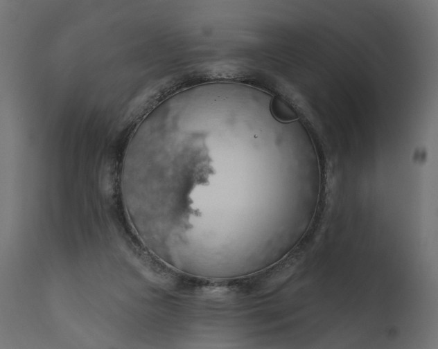 X0000110700161200906261416