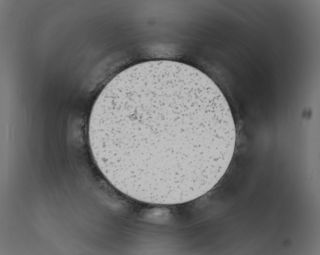 X0000110700162200906261416