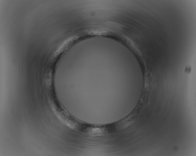 X0000110700163200906261416