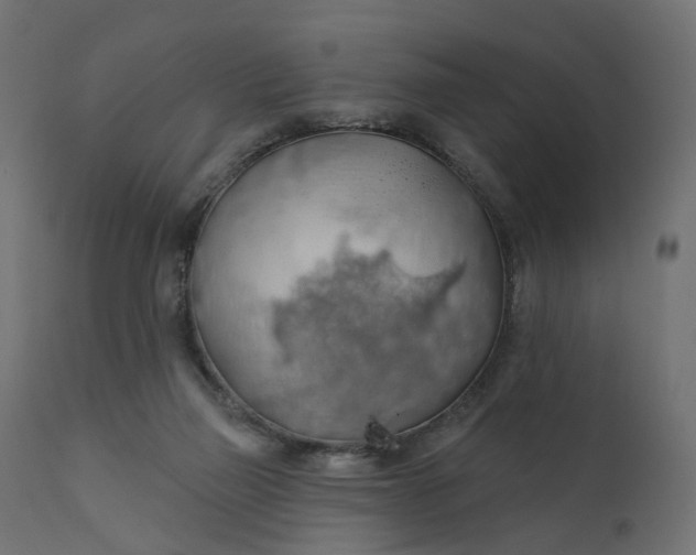 X0000110700165200906261416