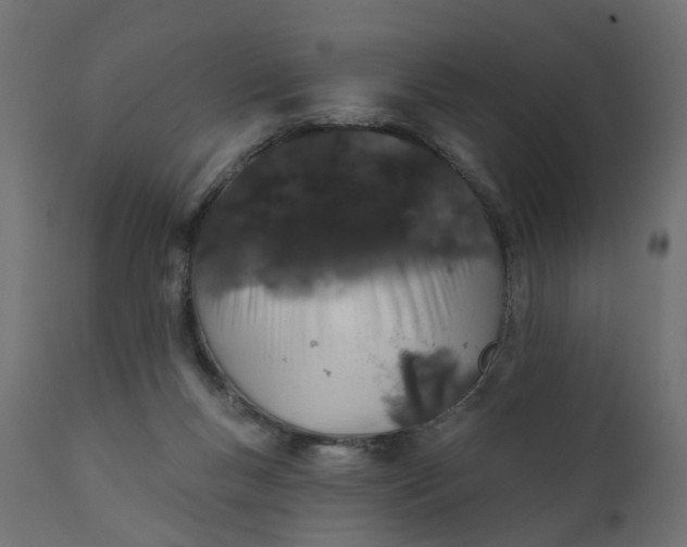 X0000110700167200906261416