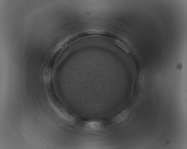 X0000110700168200906261416