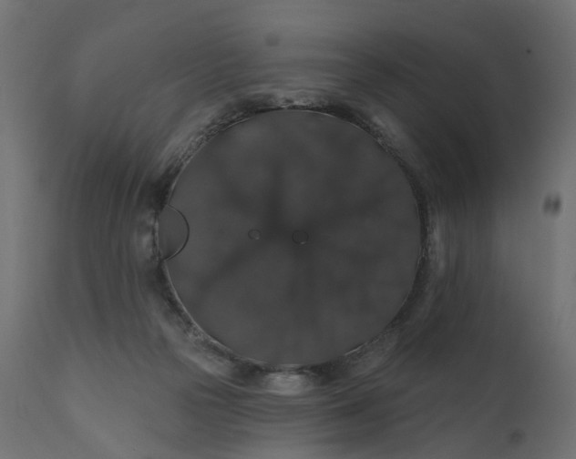 X0000110700169200906261416