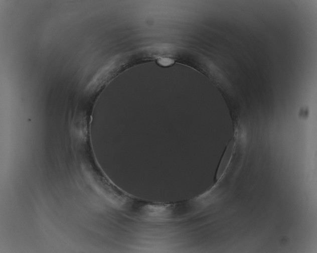 X0000110700170200906261416