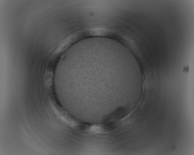 X0000110700171200906261416