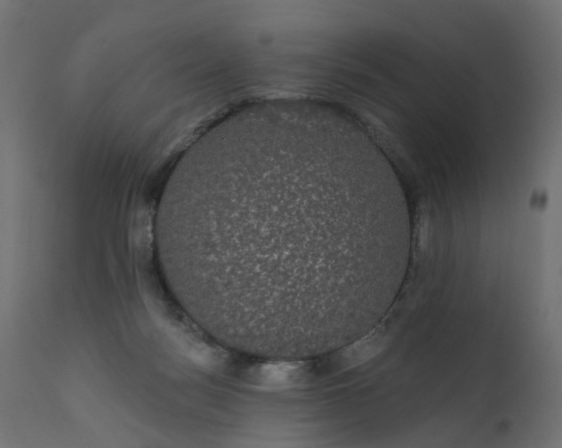 X0000110700172200906261416