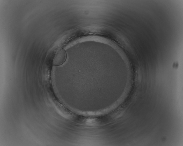 X0000110700173200906261416