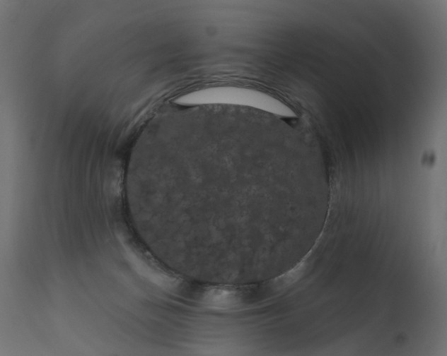 X0000110700174200906261416