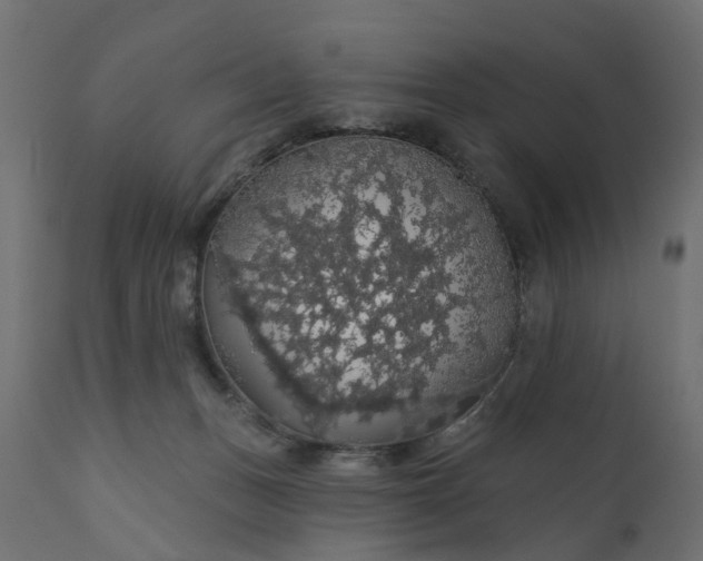 X0000110700175200906261416