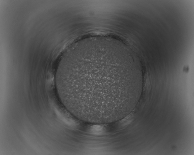 X0000110700176200906261416