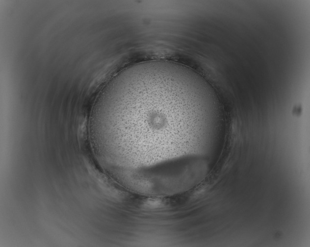 X0000110700177200906261416