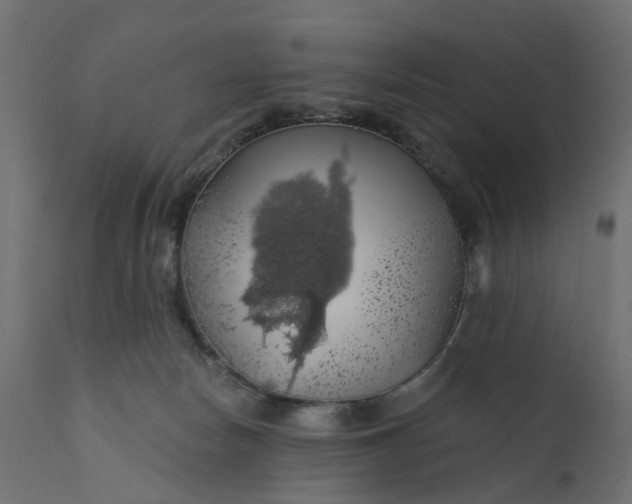 X0000110700178200906261416