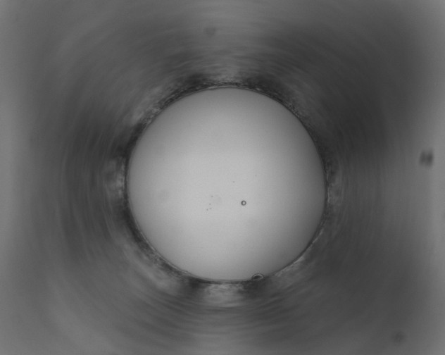 X0000110700179200906261416