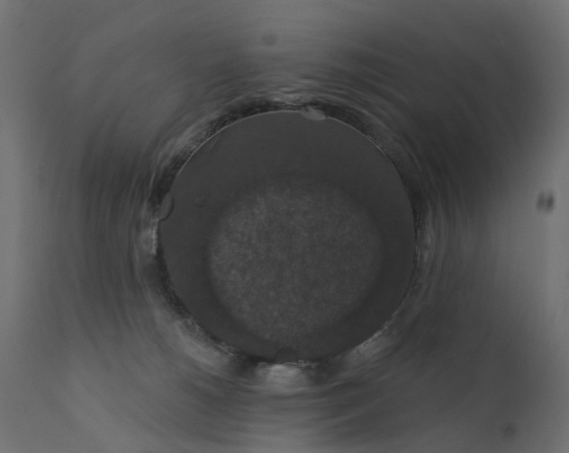 X0000110700180200906261416