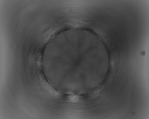 X0000110700181200906261416