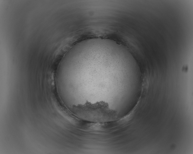 X0000110700182200906261416