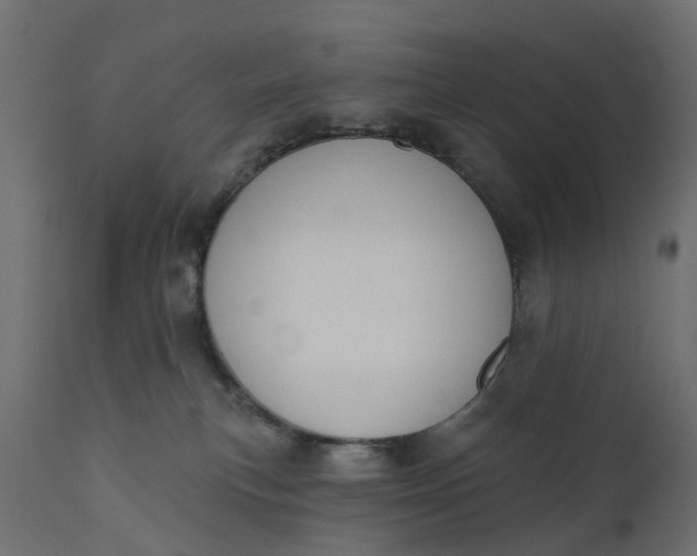 X0000110700183200906261416