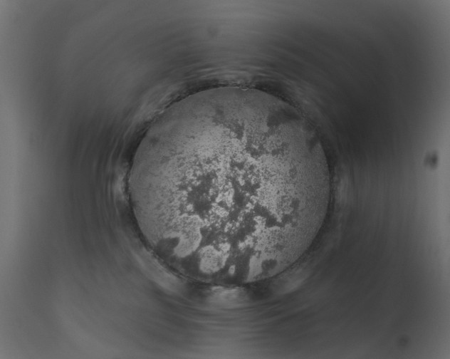 X0000110700185200906261416