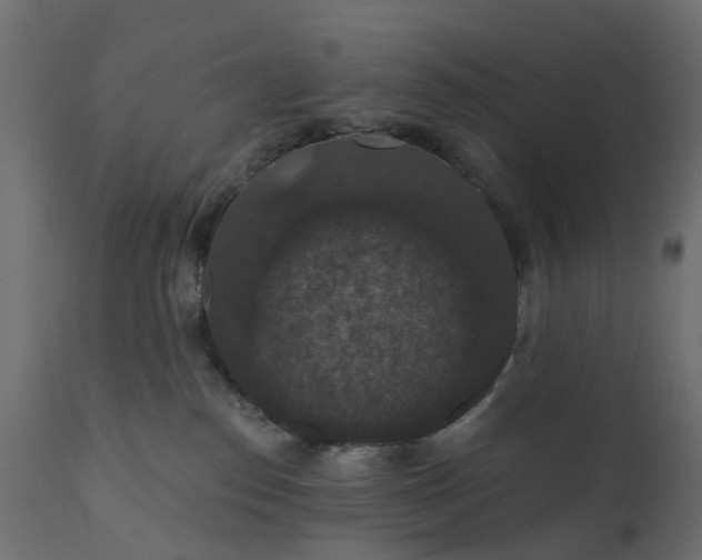 X0000110700186200906261416