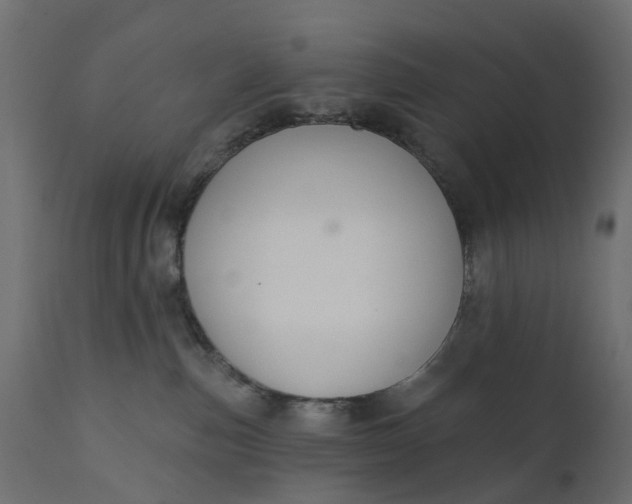 X0000110700187200906261416