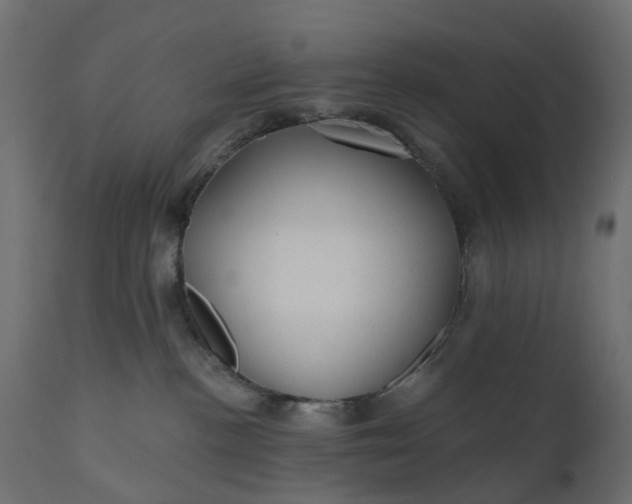 X0000110700188200906261416