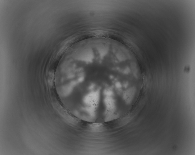 X0000110700189200906261416