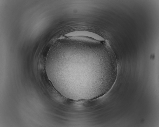 X0000110700190200906261416