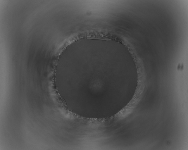 X0000110700192200906261416