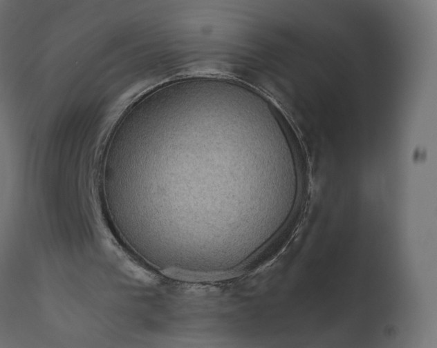 X0000110700193200906261416