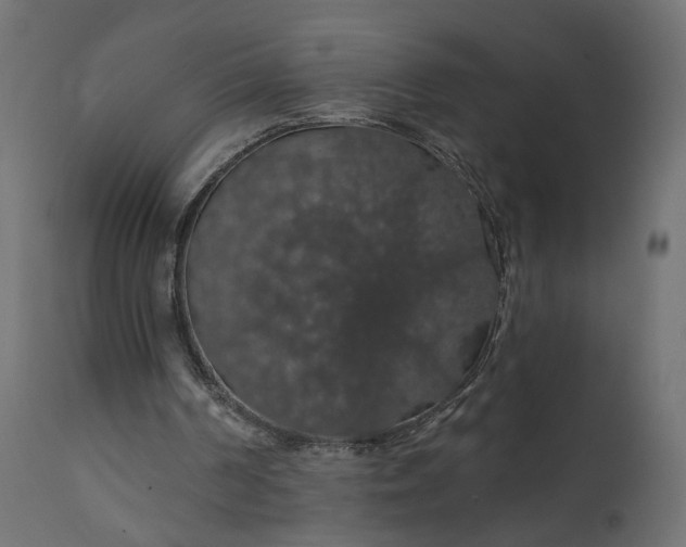 X0000110700194200906261416