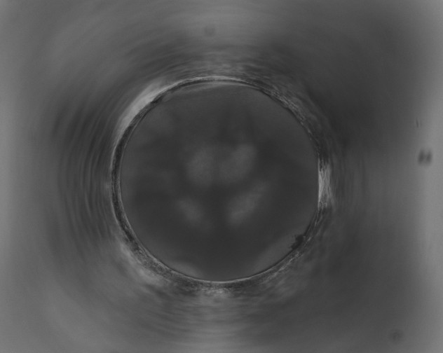 X0000110700195200906261416