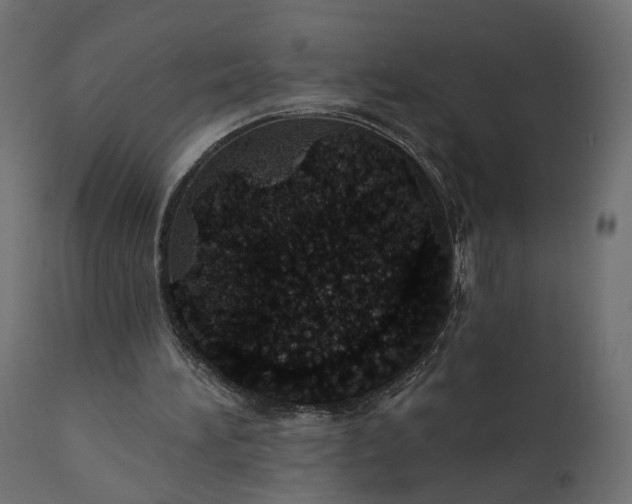 X0000110700196200906261416