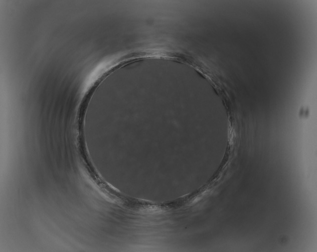 X0000110700198200906261416