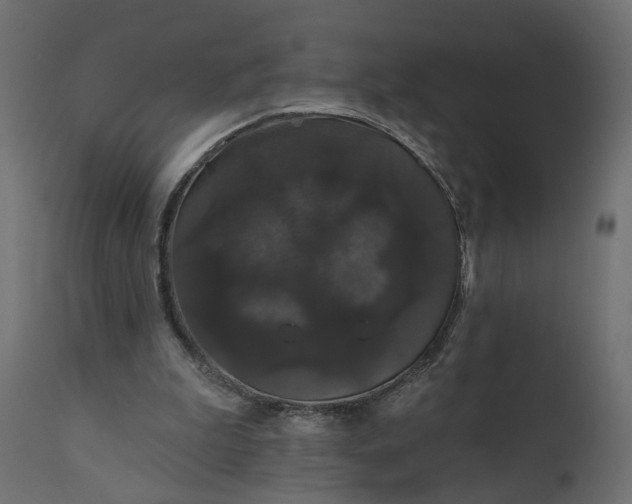 X0000110700199200906261415