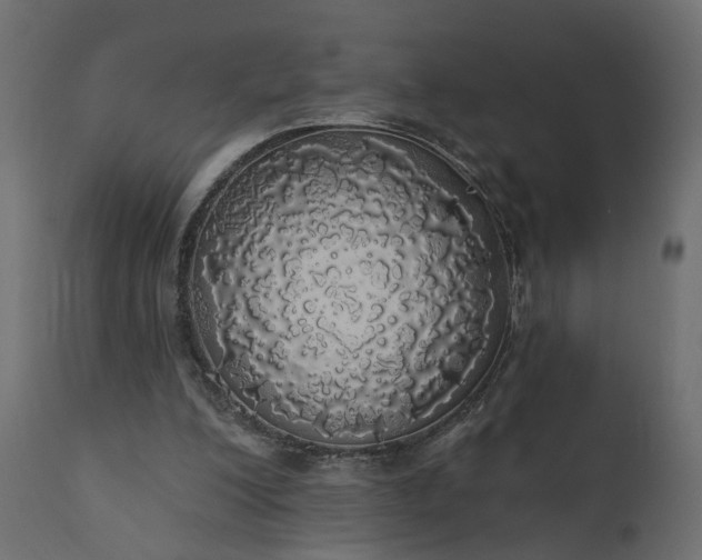 X0000110700200200906261415