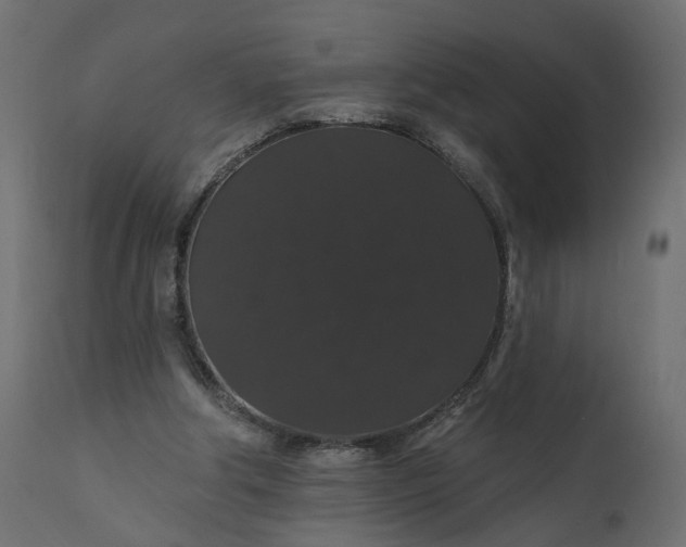 X0000110700202200906261415