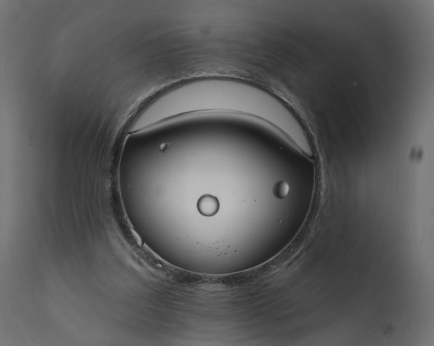 X0000110700203200906261415